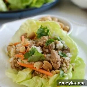 Asian lettuce wraps with meat and vegetables.