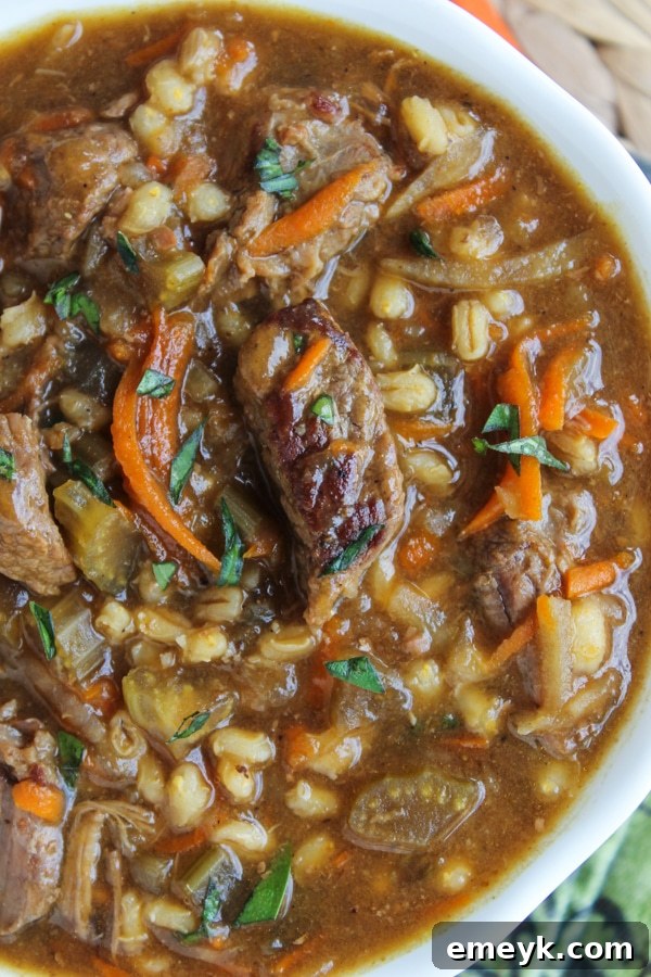 Slow Cooker Beef Barley Soup