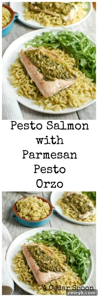 Pesto Salmon with Parmesan Pesto Orzo - healthy meal