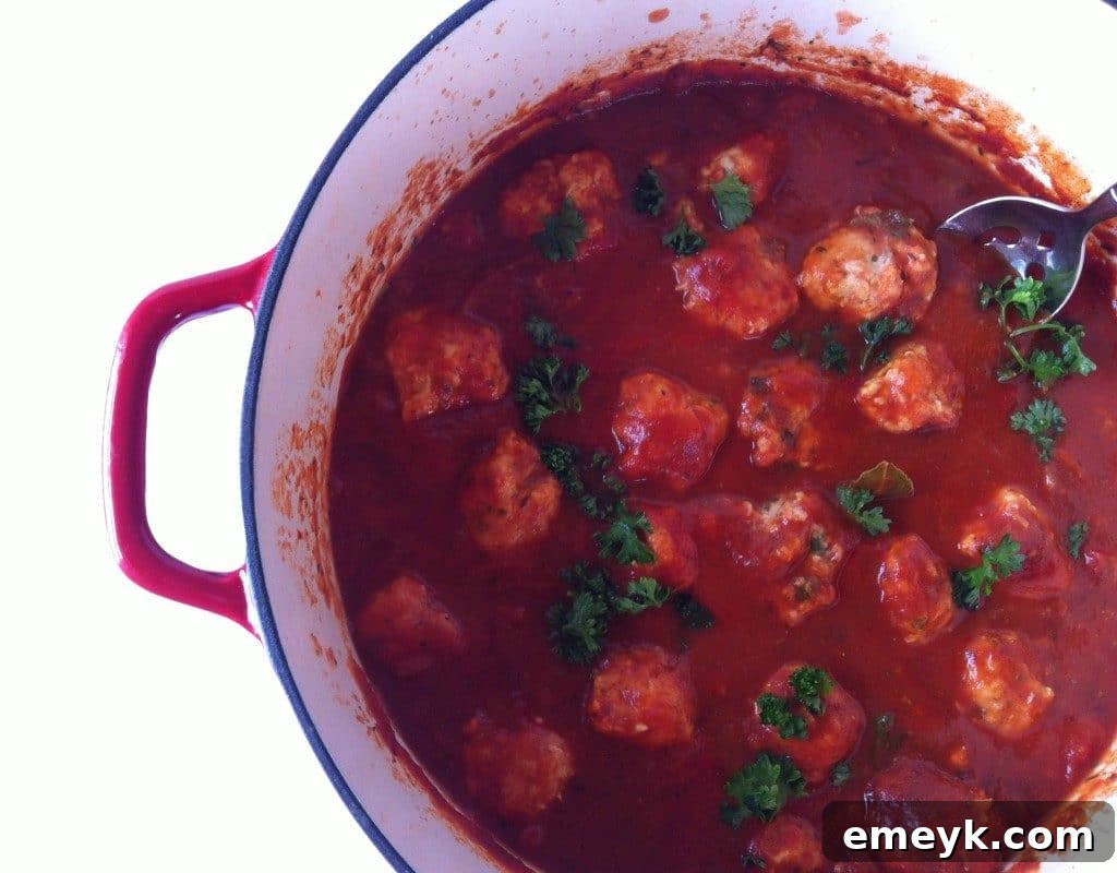 Turkey-and-Carrot-Meatballs-1-1024x800, healthy and savory meatballs for kids.