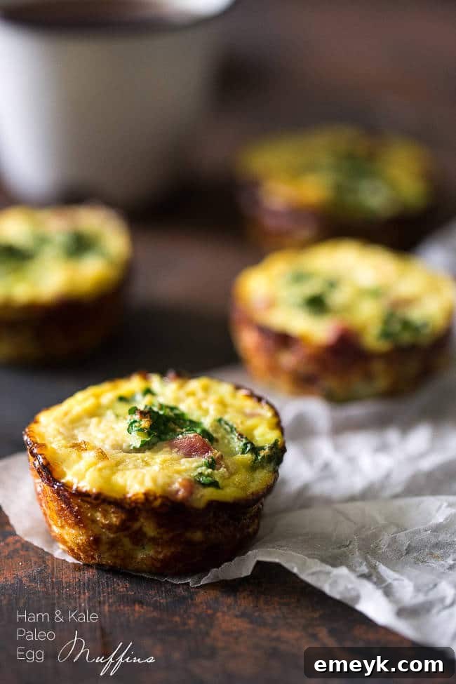 Egg Muffins are a great breakfast! Healthy too, perfect for meal prep.