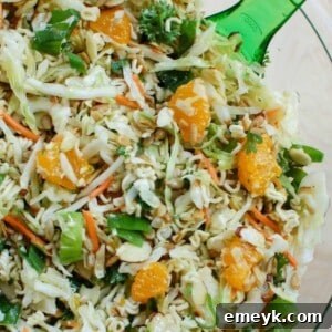 A beautifully composed Asian Ramen Noodle Salad, ready to serve at a picnic or family event.