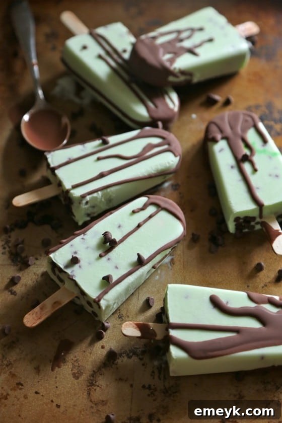Cool Chocolate Chip Mint Greek Yogurt Pops, a refreshing and protein-rich treat for a healthy indulgence.