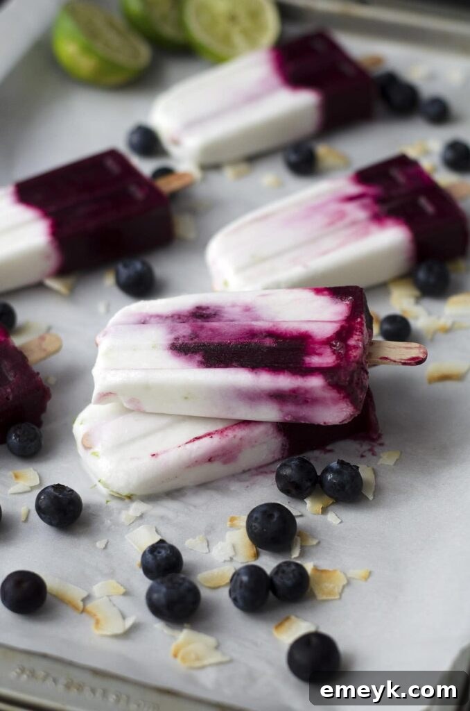 Exotic Roasted Blueberry Coconut and Lime Popsicles, a unique blend of sweet, tart, and creamy flavors.