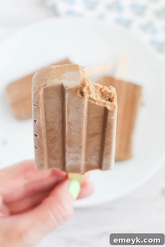 Healthy and rich Paleo Fudge Pops, a guilt-free chocolatey frozen dessert for a mindful indulgence.