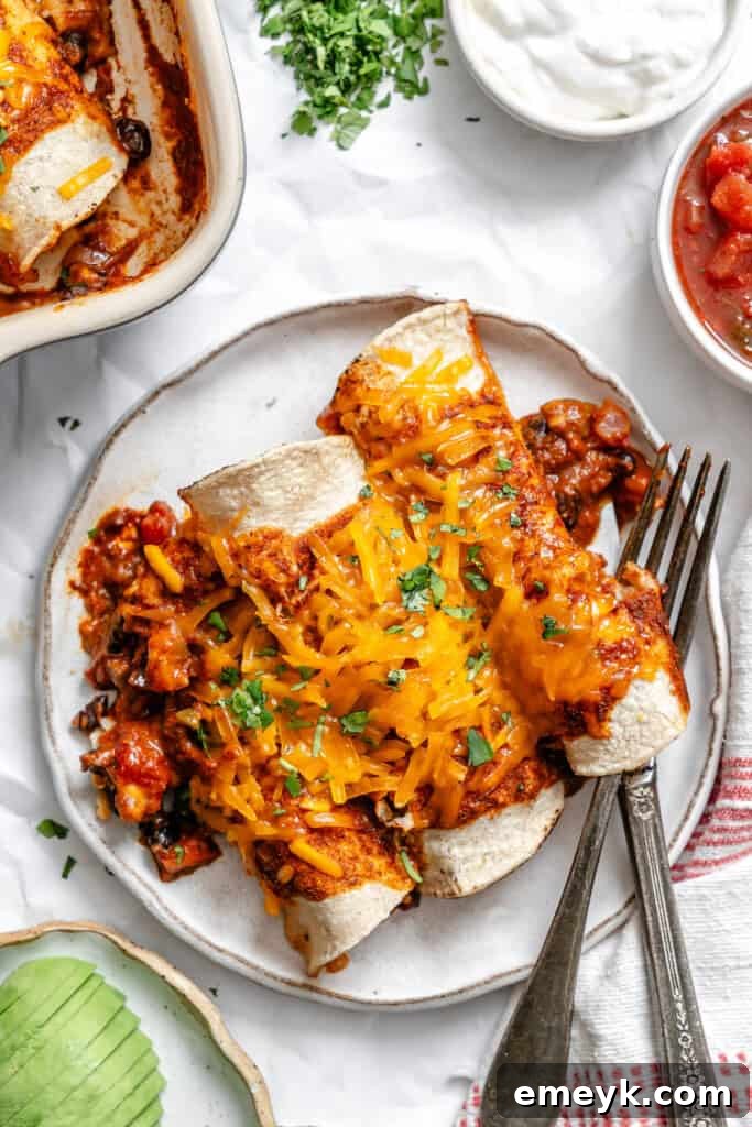 Effortless Meatless Enchiladas 2 Easy Vegetarian Enchiladas Recipe on plate