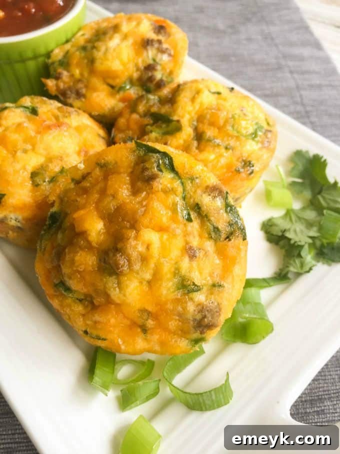 29 Brilliant Breakfasts for Effortless Mornings 6 Southwestern Taco Egg Muffins from A Cedar Spoon, a zesty and healthy make-ahead breakfast idea for school mornings.