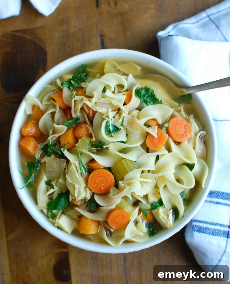 Slow Cooker Chicken Noodle Soup served with a silver spoon