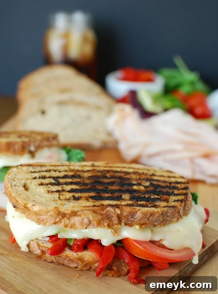 A perfectly grilled Mediterranean Turkey Hummus Panini, showcasing its golden-brown crust and inviting filling of smoked turkey, roasted red peppers, spinach, tomatoes, artichokes, and melted Havarti cheese, with a generous spread of garlic and herb hummus. This warm, flavorful sandwich is ideal for a quick, healthy lunch or dinner.