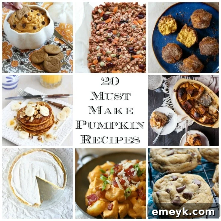 20 Mouthwatering Pumpkin Recipes, a collection of delicious fall dishes