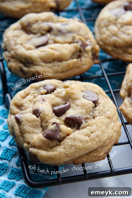 Soft Batch Pumpkin Chocolate Chip Cookies, fresh from the oven