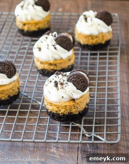 Mini Cookies N' Cream Pumpkin Cheesecakes, individual servings