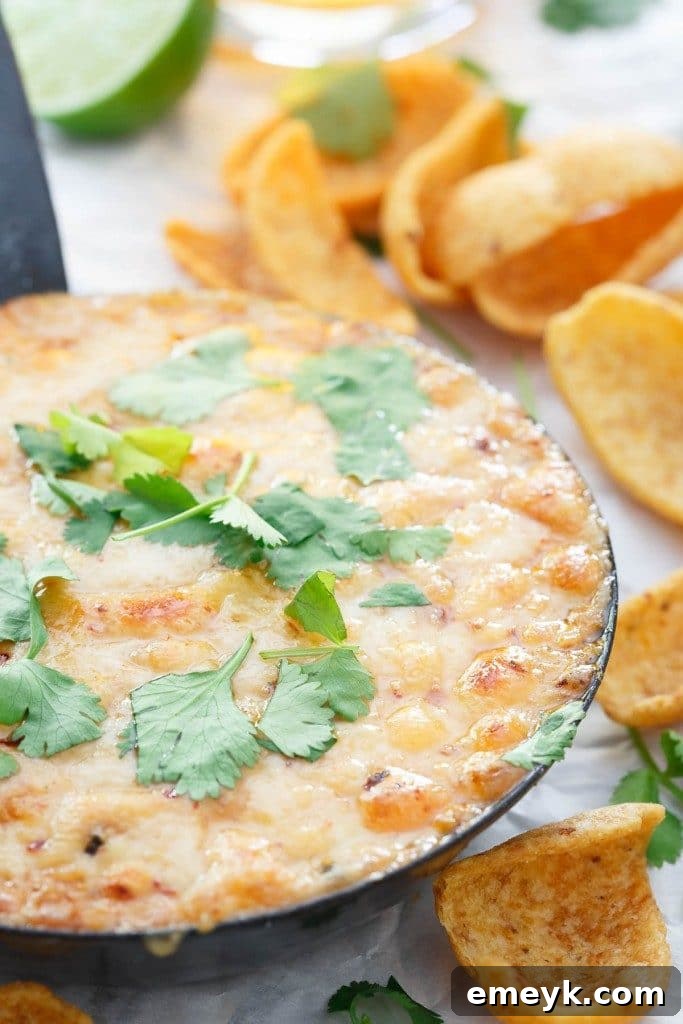 29 Unbeatable Game Day Dips 22 Spicy and robust Chipotle Hummus Fundido, a warm twist on classic hummus.
