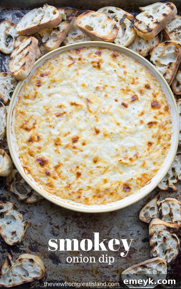 29 Unbeatable Game Day Dips 16 Smoky Onion Dip, a gourmet take on a beloved classic.