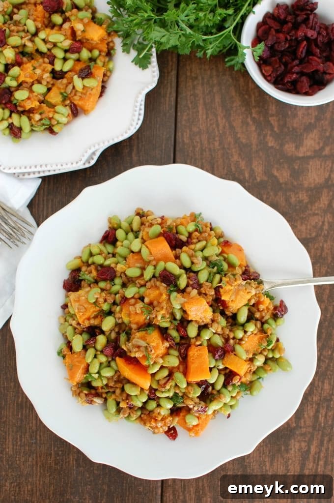 Close-up of Wheat Berries with Butternut Squash, Edamame, and Cranberries salad