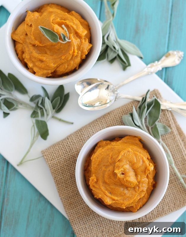 Smooth Creamy Coconut Garlic Butternut Squash Puree