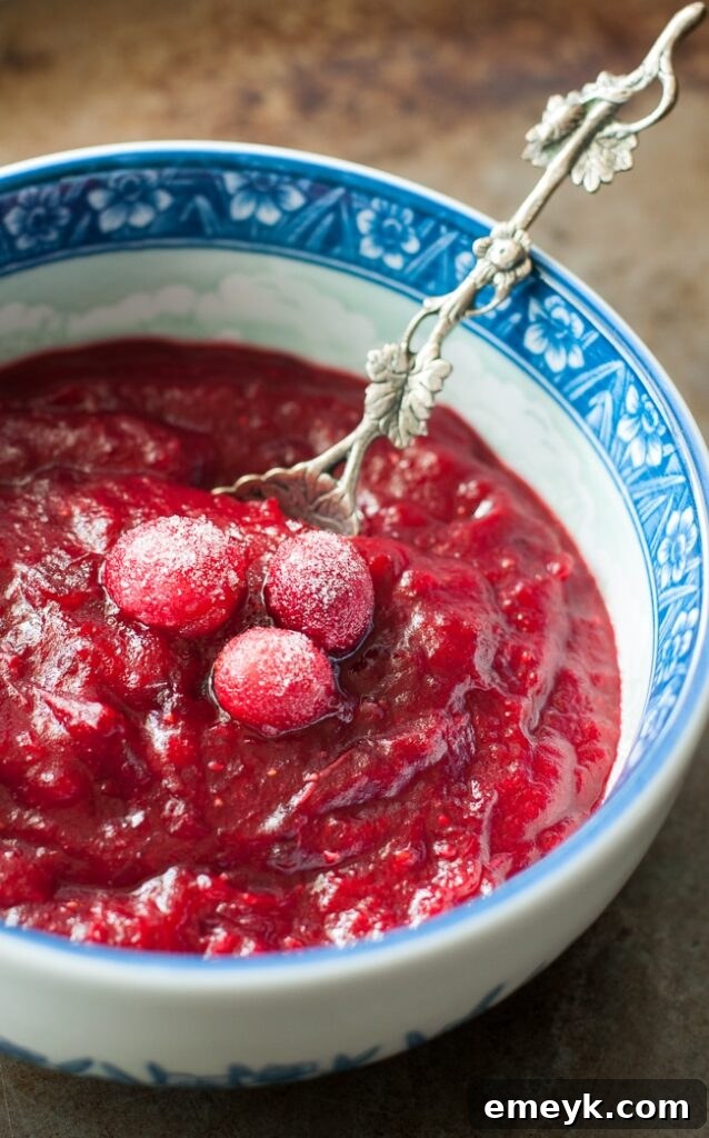 Homemade Slow Cooker Apple Cranberry Sauce in a serving bowl, garnished with fresh cranberries and apple slices.