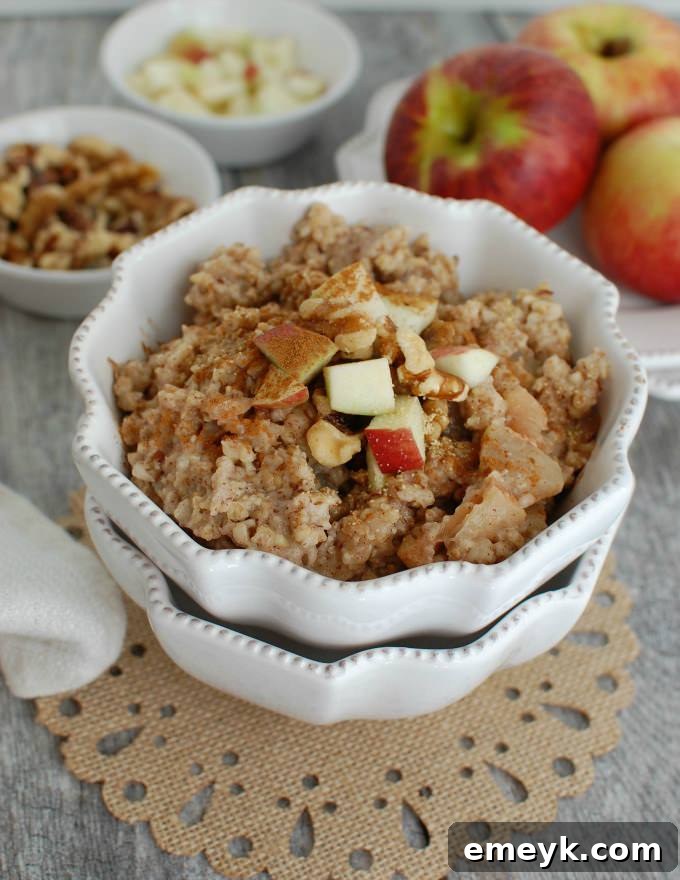 Warm slow cooker apple pie steel cut oatmeal in a bowl, garnished with fresh apple slices and cinnamon.