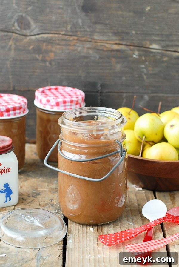 Rich, dark Slow Cooker Dutch Spiced Apple Butter in a jar, with cinnamon sticks and fresh apples in the background.