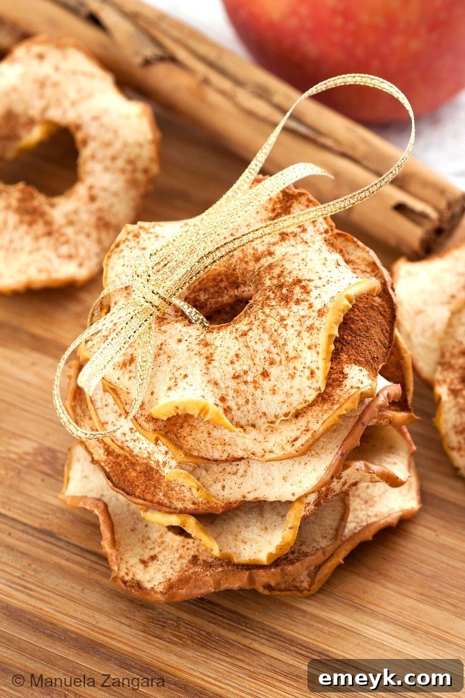 Thinly sliced, crispy cinnamon apple chips arranged on a plate, dusted with cinnamon sugar.