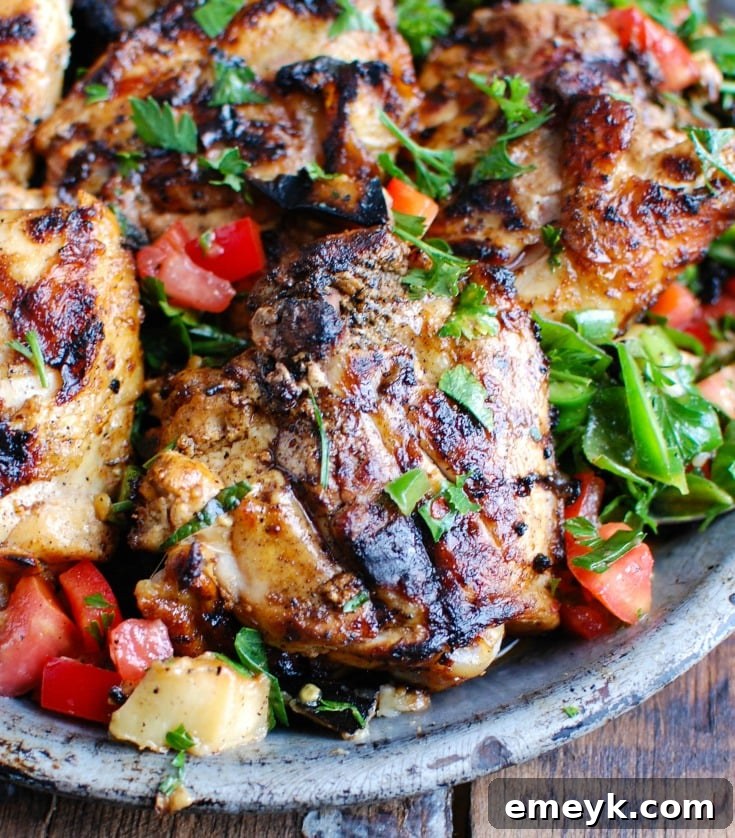 Shish Tawook served with Mediterranean Eggplant Salad, rice, and fresh herbs.