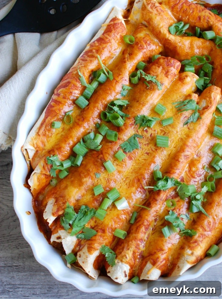 Delicious Vegetarian Black Bean Enchiladas, filled with vegetables and black beans, topped with a rich sauce and melted cheese, perfect for a meatless Monday.