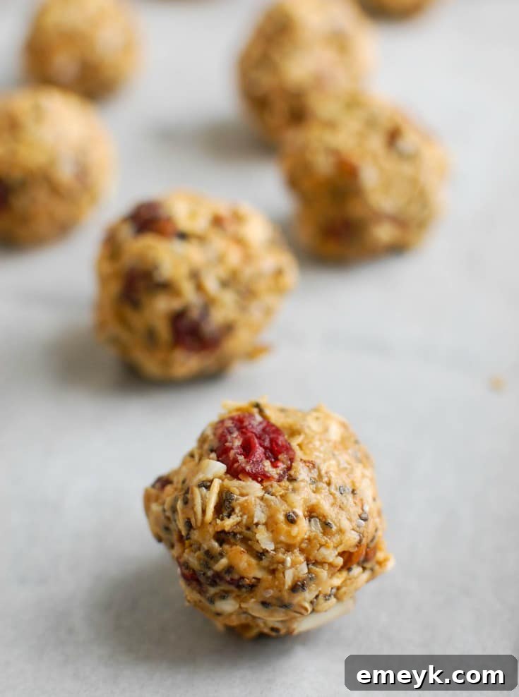 A bowl of mixed dry ingredients for energy bites before adding wet components.