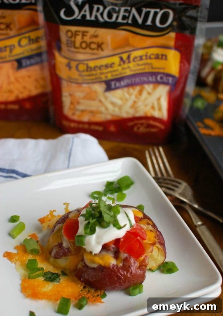 A close-up of Sargento® Shredded Sharp Cheddar Cheese and Sargento® Shredded 4 Cheese Mexican in their packaging, ready to be used in a recipe.