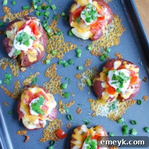Loaded Smashed Potatoes, a crispy and soft potato dish topped with cheese and fresh ingredients, perfect for any occasion.