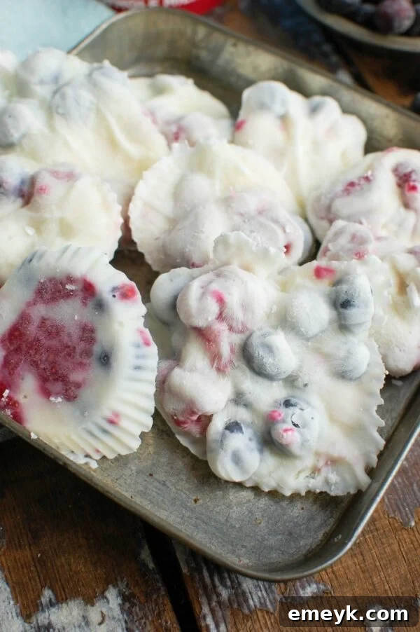 Frozen Greek Yogurt Fruit Treats 2 Vibrant Frozen Greek Yogurt Fruit Bites with fresh berries, a healthy and refreshing snack for summer