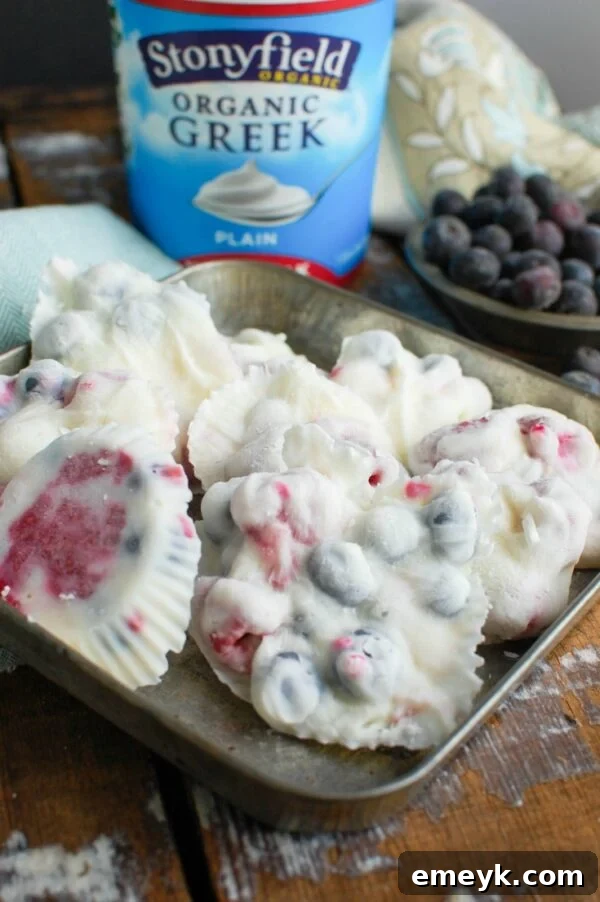 Frozen Greek Yogurt Fruit Treats 9 A vibrant platter of Frozen Greek Yogurt Fruit Bites, garnished with fresh blueberries and raspberries