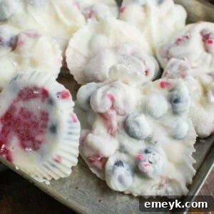 Frozen Greek Yogurt Fruit Treats 10 Close-up of Frozen Greek Yogurt Fruit Bites in a bowl