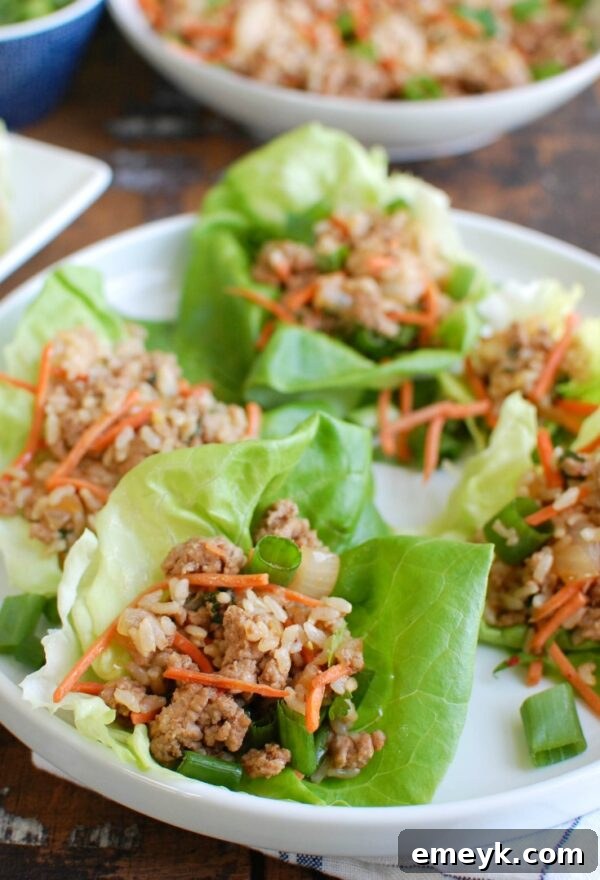 Asian Pork Lettuce Wraps are packed with your favorite Asian flavors and paired with ground pork, topped with cilantro and matchstick carrots and served in soft bibb lettuce wraps. These are light and the perfect easy meal! 