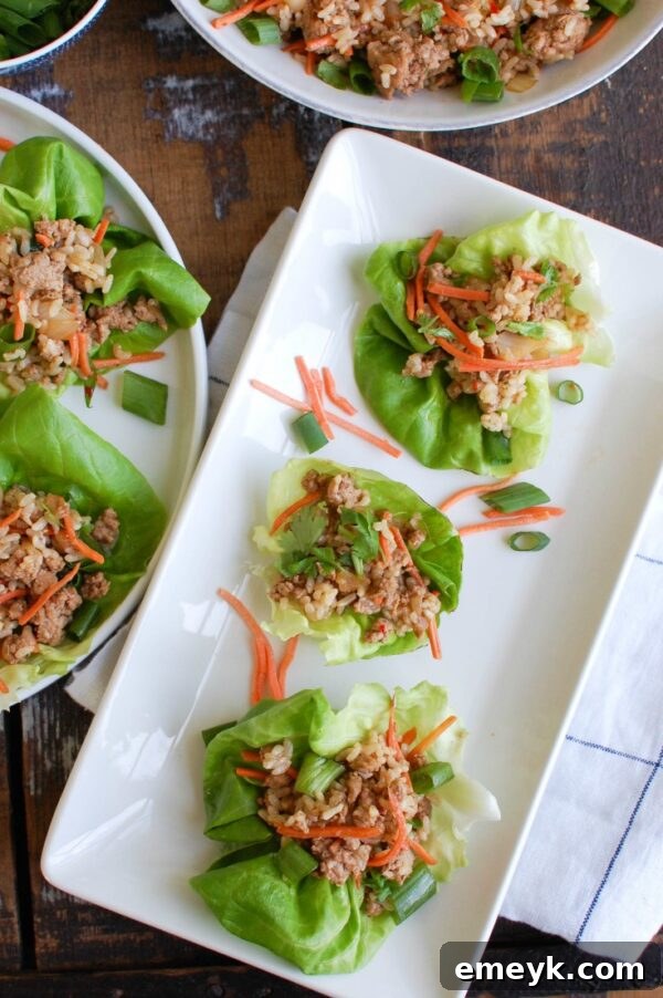 Asian Pork Lettuce Wraps are packed with your favorite Asian flavors and paired with ground pork, topped with cilantro and matchstick carrots and served in soft bibb lettuce wraps. These are light and the perfect easy meal! 