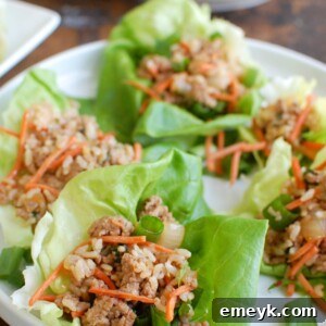Asian Pork Lettuce Wraps are packed with your favorite Asian flavors and paired with ground pork, topped with cilantro and matchstick carrots and served in soft bibb lettuce wraps. These are light and the perfect easy meal!