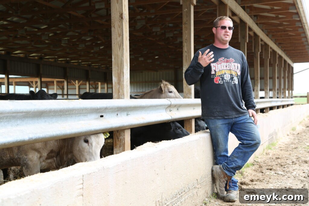 Grill Your Best Beef Ever 9 Pro Tips 5 Cattle at Hoffman Farms