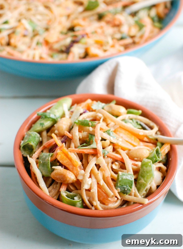 Overhead shot of a large bowl of Asian Vegetable Noodle Salad, ready to be served at a summer gathering.