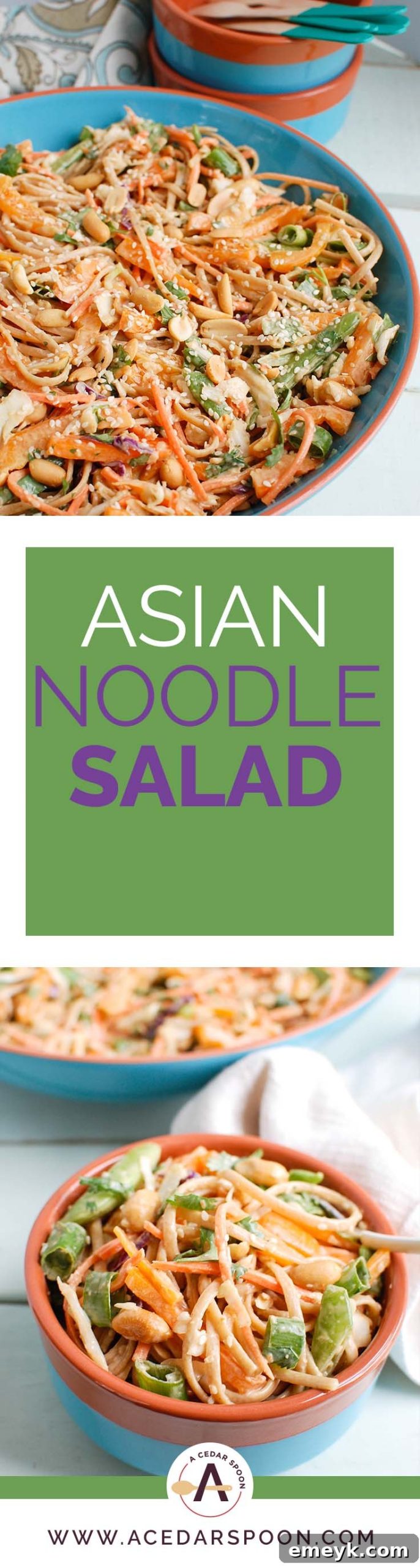 A vibrant close-up of the finished Asian Vegetable Noodle Salad with Spicy Peanut Sauce, garnished beautifully and ready to be enjoyed.