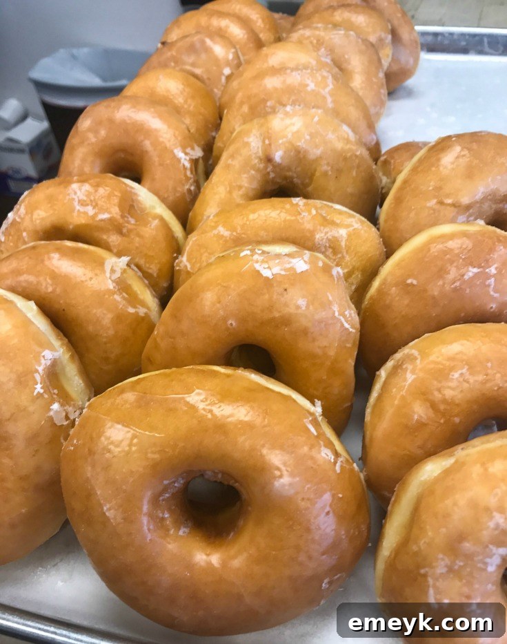 An array of delicious donuts from the Butler County Donut Trail, tempting visitors with their variety.