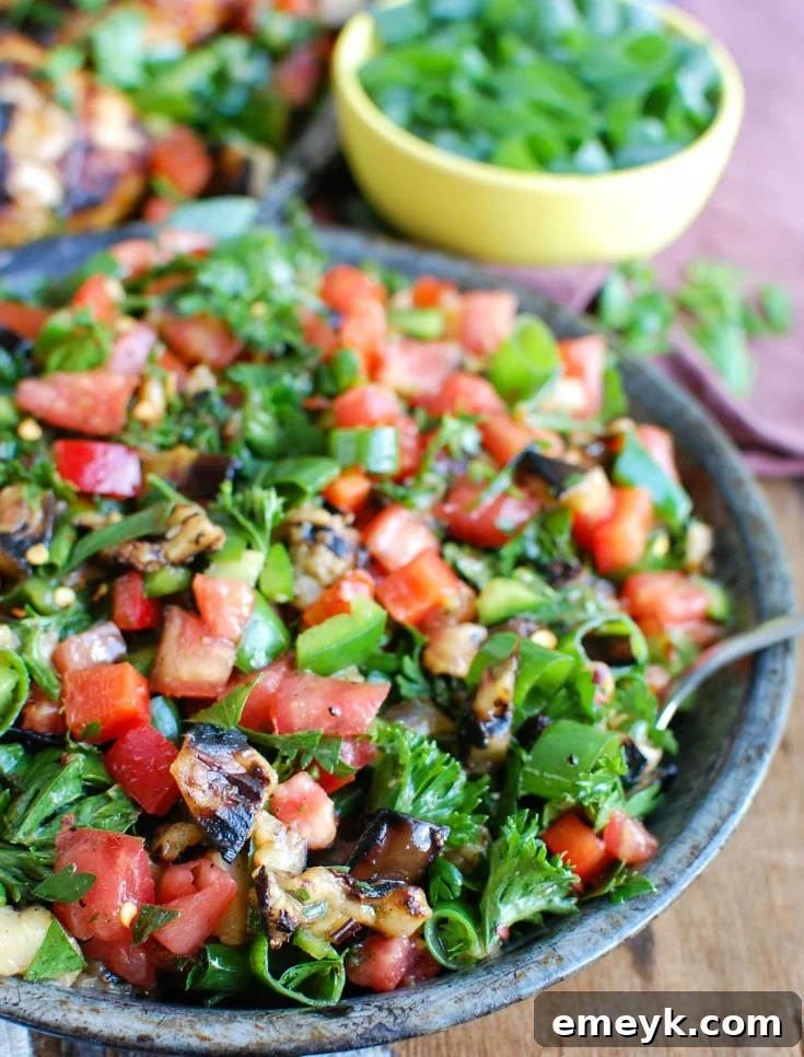 Vibrant Mediterranean Eggplant Salad 2 A vibrant Mediterranean Eggplant Salad on a rustic dish, featuring grilled eggplant, diced tomatoes, green onions, and fresh herbs, garnished with a sprinkle of Za'atar.