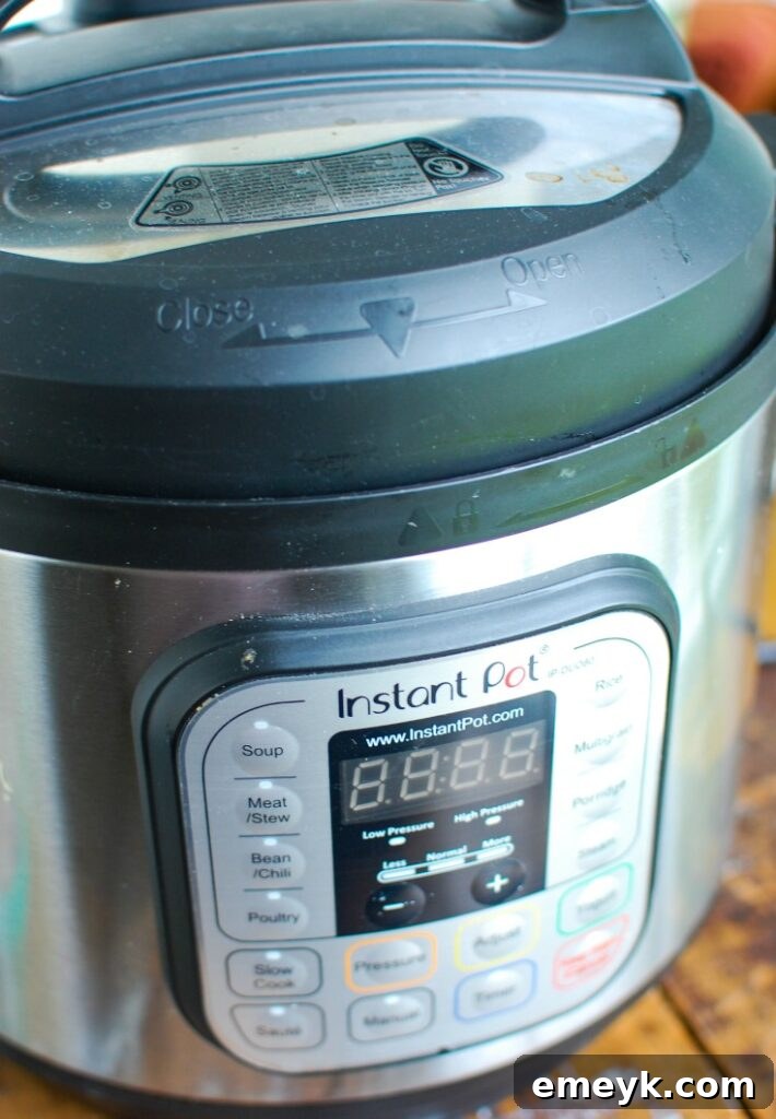 An Instant Pot on a kitchen counter, ready for cooking a delicious meal.