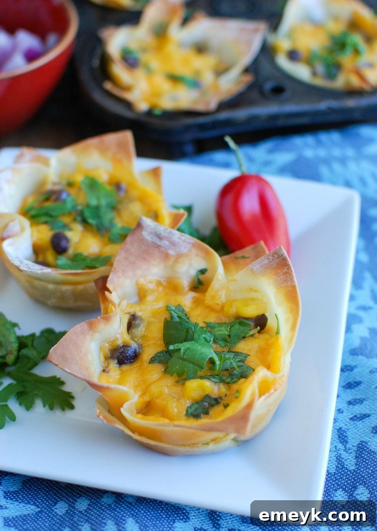 Cheesy Chicken and Broccoli Bake 9 A platter of golden-brown Southwestern Hummus Baked Wonton Cups, filled with a colorful mix of hummus, beans, and corn, topped with melted Sargento® Monterey Jack cheese and fresh cilantro.