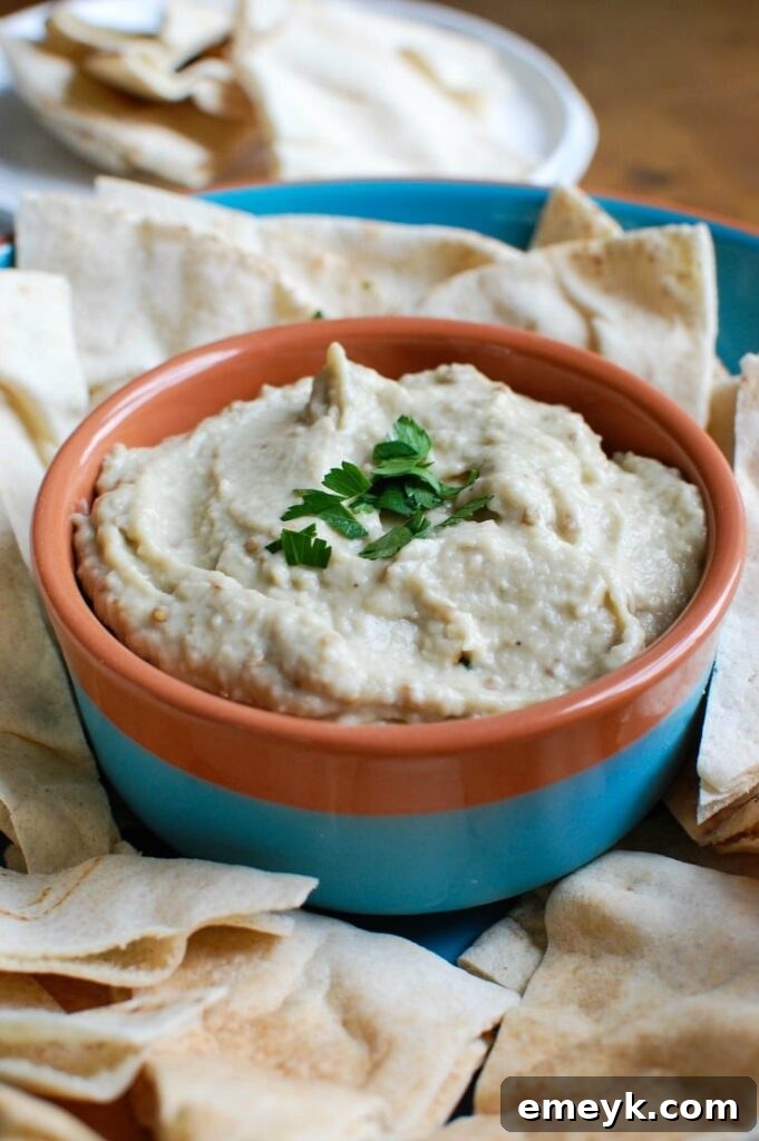 Eggplant Dip {Baba Ghanoush} is a healthy, delicious dip. This comes together in no time!