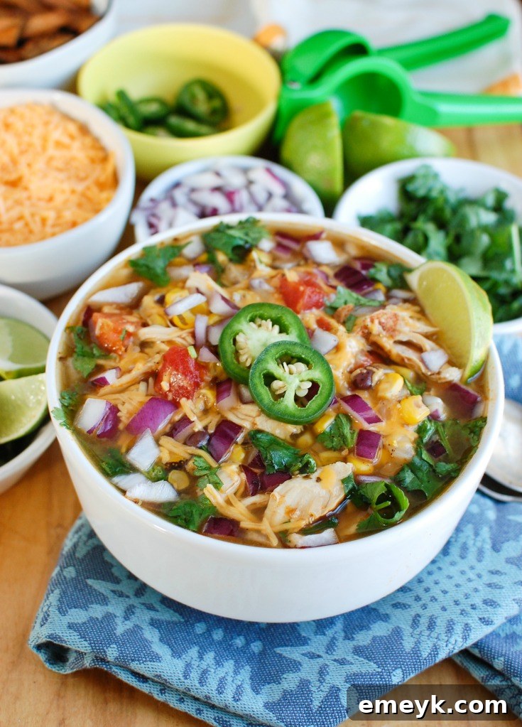 A steaming bowl of Instant Pot Chicken Tortilla Soup, garnished with fresh cilantro, a lime wedge, and tortilla strips.
