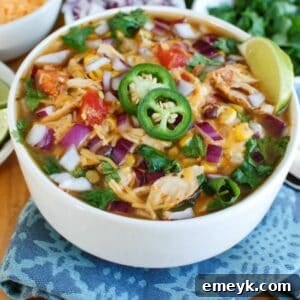 Instant Pot Chicken Tortilla Soup served in a white bowl with garnishes.