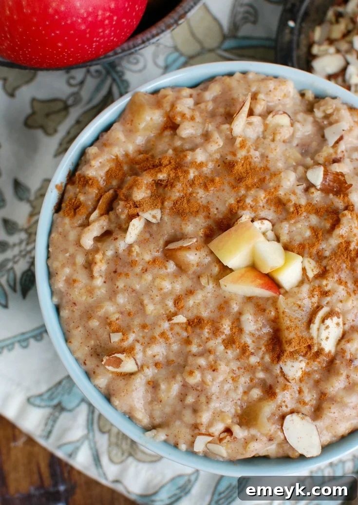 A bowl of creamy Slow Cooker Steel Cut Oatmeal, garnished with fresh berries and a drizzle of honey.