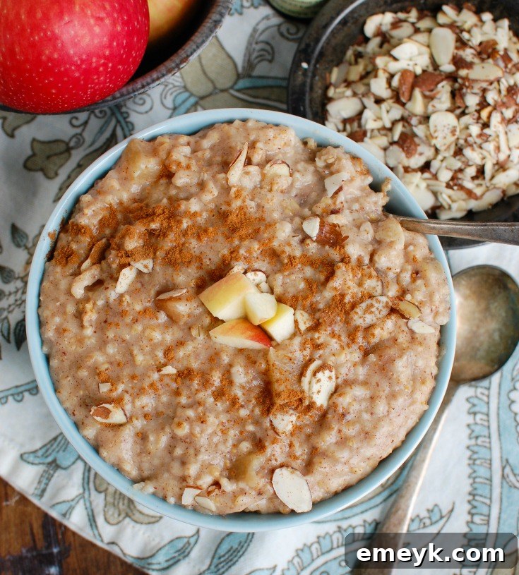 A close-up of Slow Cooker Steel Cut Oats in a blue bowl with a spoon, highlighting the creamy texture.