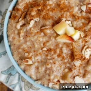 Slow Cooker Steel Cut Oatmeal in a bowl, ready to be served, 1200 x 1200