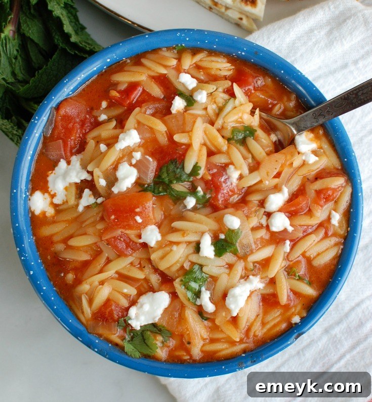 Silky One Pot Tomato Herb Orzo 3 A close-up view of fresh ingredients meticulously laid out for One Pot Creamy Tomato Herb Orzo, including vibrant canned diced tomatoes, fresh garlic cloves, an onion, a bowl of dry orzo pasta, and a selection of aromatic dried herbs.