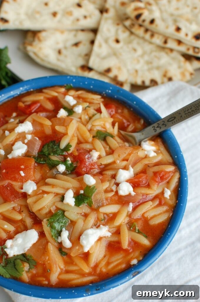 Silky One Pot Tomato Herb Orzo 4 A beautifully presented bowl of One Pot Creamy Tomato Herb Orzo, viewed from a side angle, showcasing its luscious tomato sauce, tender orzo grains, and fresh herb garnish, ready to be enjoyed.